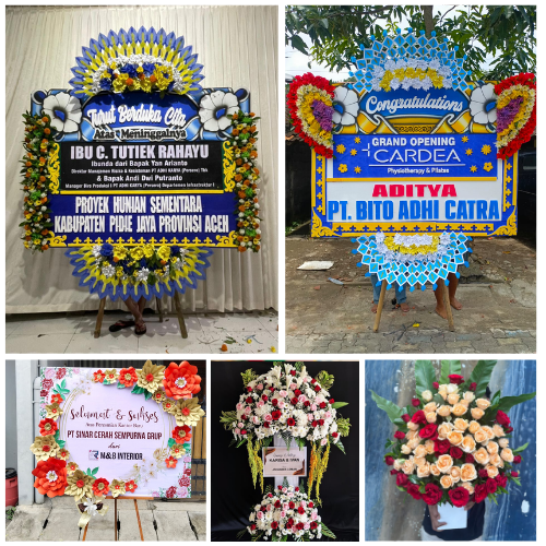 Tentang Flosteria